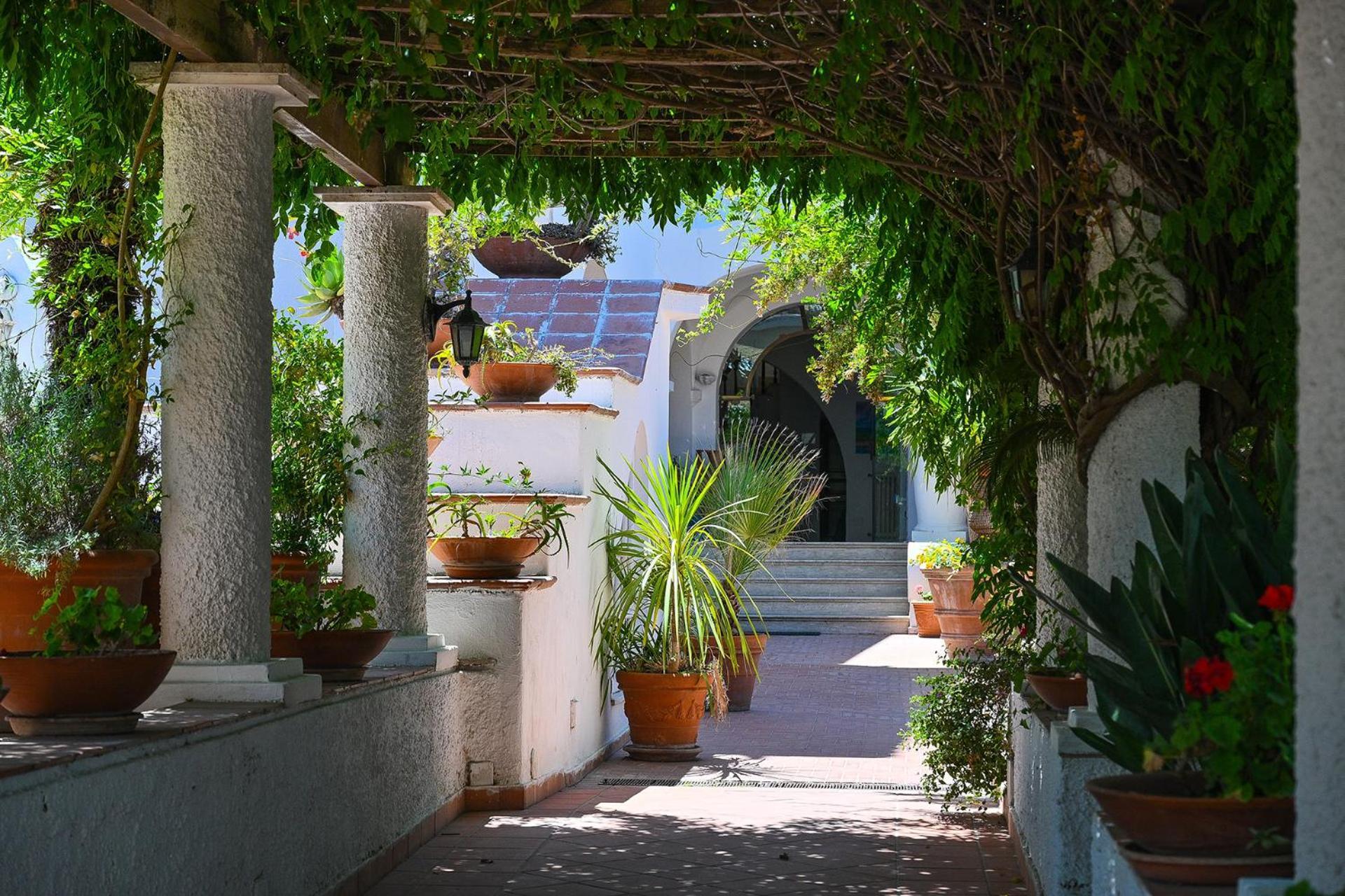 Av Club Terme Colella Hotel Forio di Ischia Exterior foto