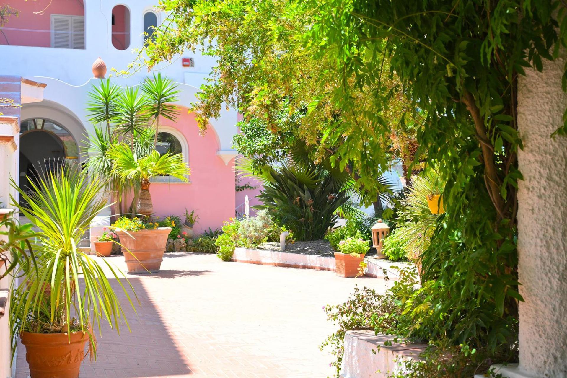 Av Club Terme Colella Hotel Forio di Ischia Exterior foto