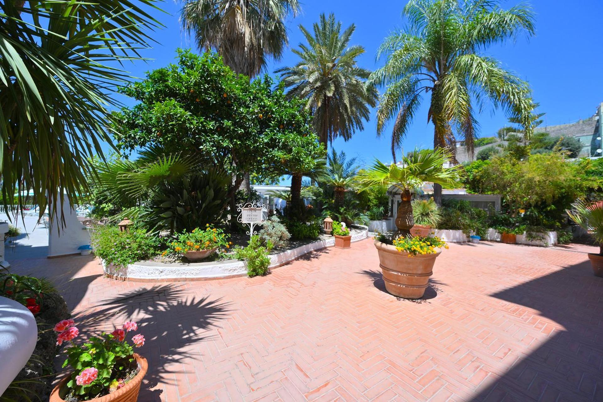 Av Club Terme Colella Hotel Forio di Ischia Exterior foto